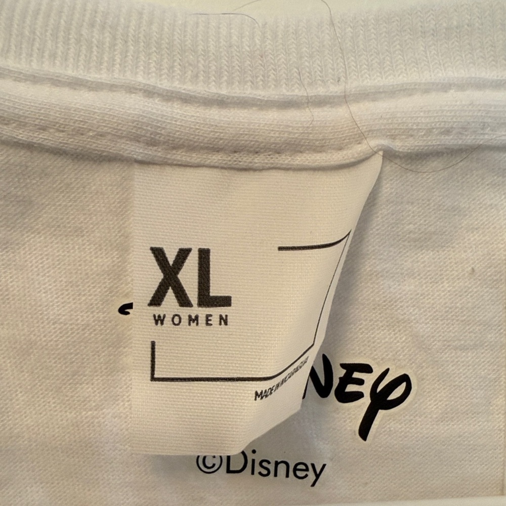 Disney Women's Pooh & Piglet Forever Friends Tee Size XL - Picture 3 of 5